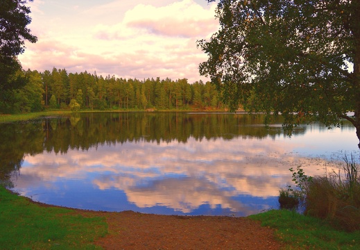 jonathan-petersson-grizzlybear-se-prostsjon-lake-varnamo